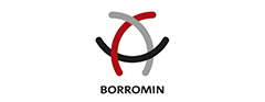 Borromin